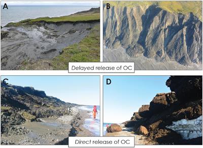 Permafrost Carbon and CO2 Pathways Differ at Contrasting Coastal Erosion Sites in the Canadian Arctic